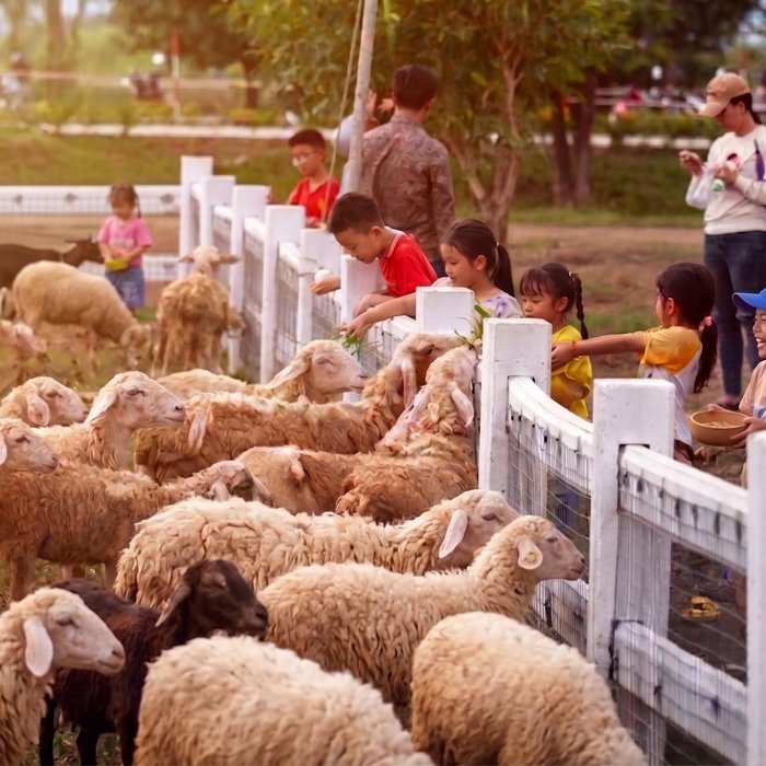 Mini Zoo