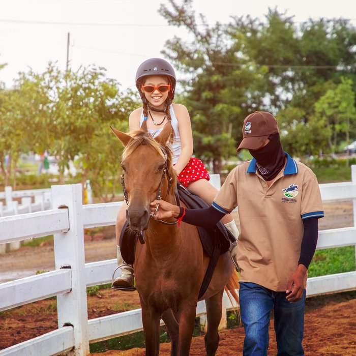 Horse Club